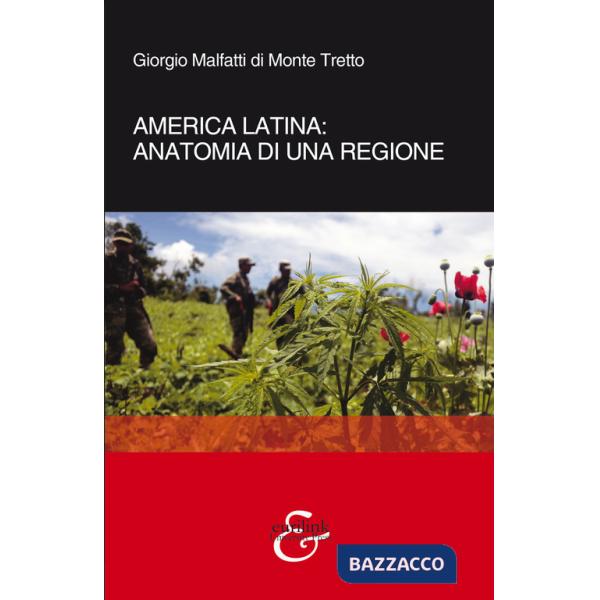 America latina: anatomia di una regione