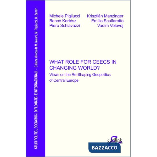 What role for CEECs in changing world? Views on the re-shaping geopolitics of Central Europe