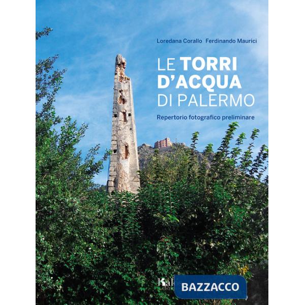 Torri d'acqua di Palermo. Repertorio fotografico preliminare. Ediz. illustrata (Le)