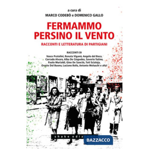Fermammo persino il vento. Racconti e letteratura di partigiani