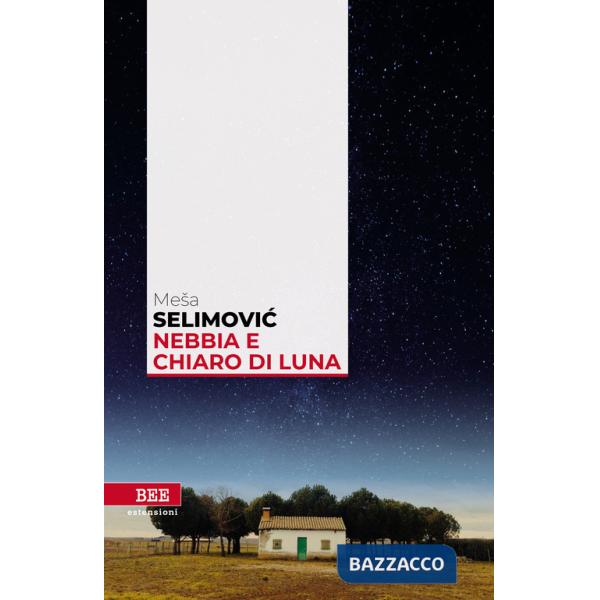 Nebbia e chiaro di luna