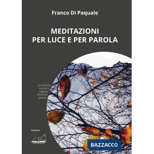 Meditazioni per luce e per parola. Ediz. illustrata