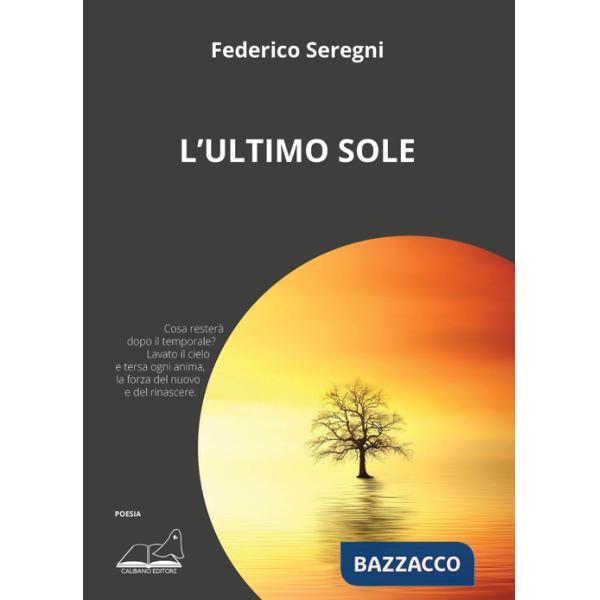 Ultimo sole (L')