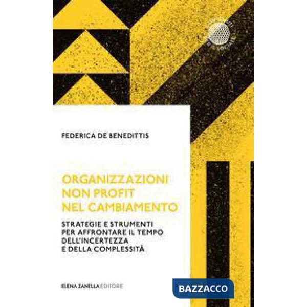 Organizzazioni non profit nel cambiamento. Strategie e strumenti per affrontare il tempo dell'incertezza e della complessità