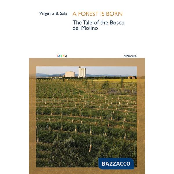 Forest is born. The tale of the Bosco del Molino (A)