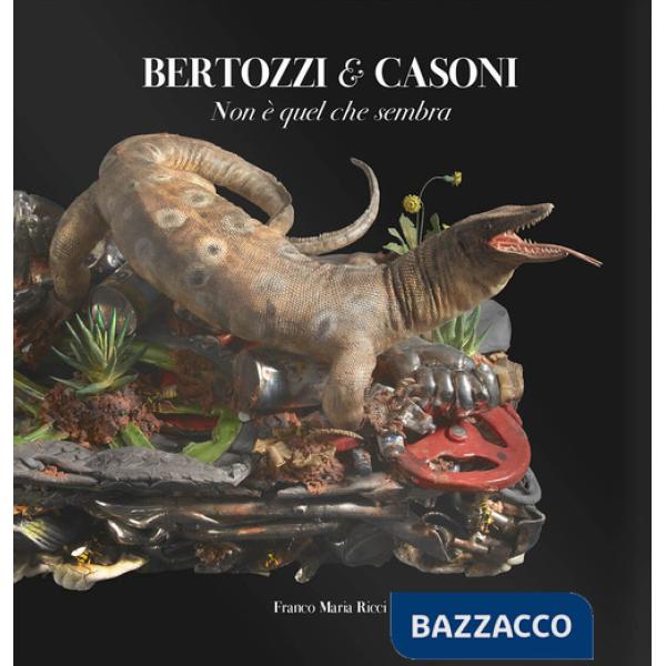 Bertozzi & Casoni. Non è quel che sembra. Ediz. a colori