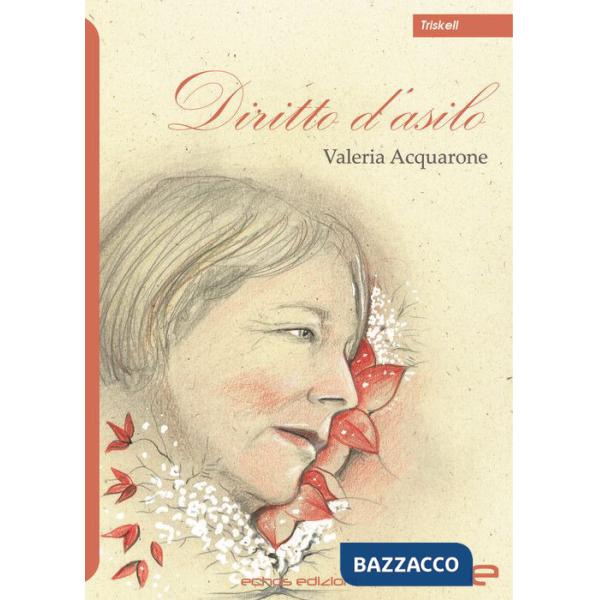 Diritto d'asilo