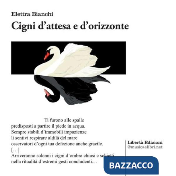 Cigni d'attesa e d'orizzonte