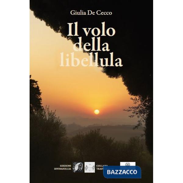 Volo della libellula (Il)