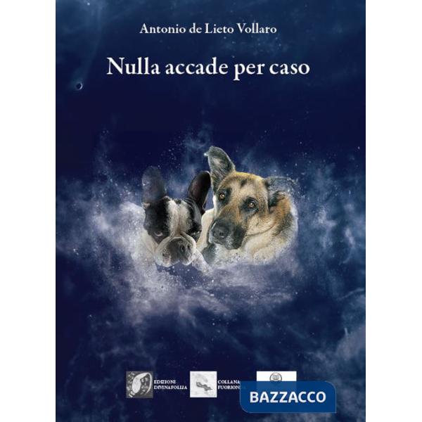 Nulla accade per caso