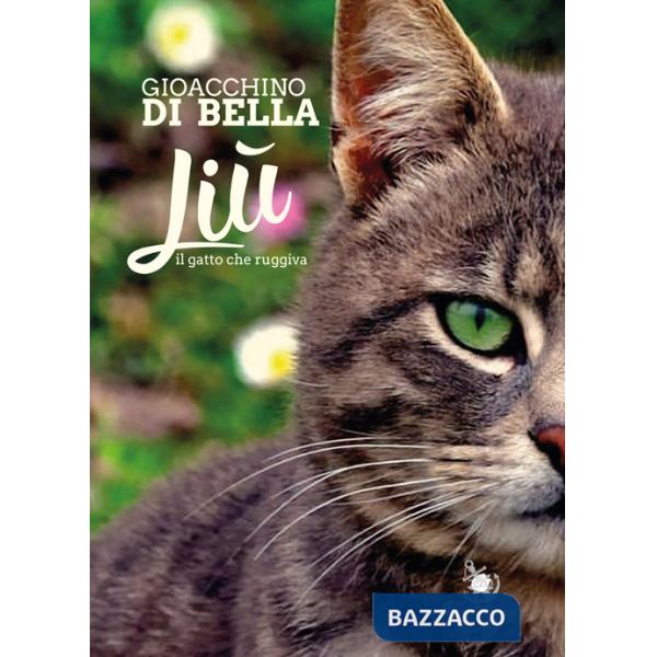 Liù, il gatto che ruggiva