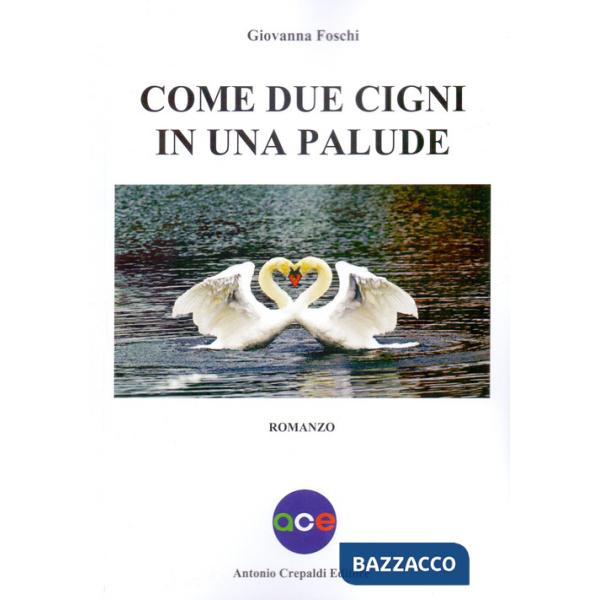 Come due cigni in una palude