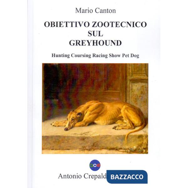 Obiettivo zootecnico sul greyhound. Hunting coursing racing show pet dog. Ediz. illustrata