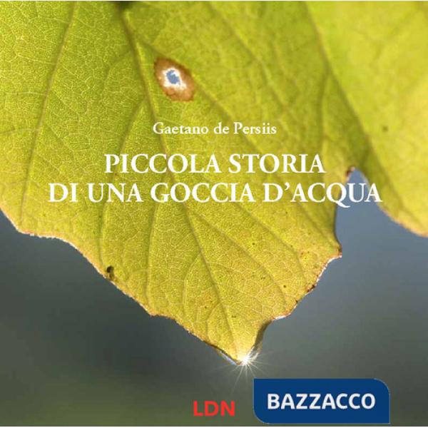 Piccola storia di una goccia d'acqua. Ediz. a colori