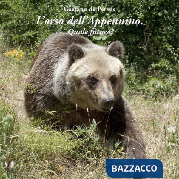 Orso dell'Appennino. Quale futuro? (L')