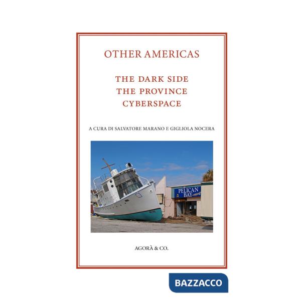 Other Americas. The dark side, the province, cyberspace
