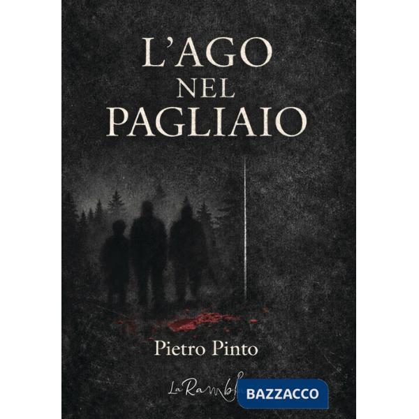 Ago nel pagliaio (L')