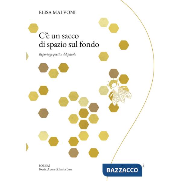 C'è un sacco di spazio sul fondo. Reportage poetico del piccolo