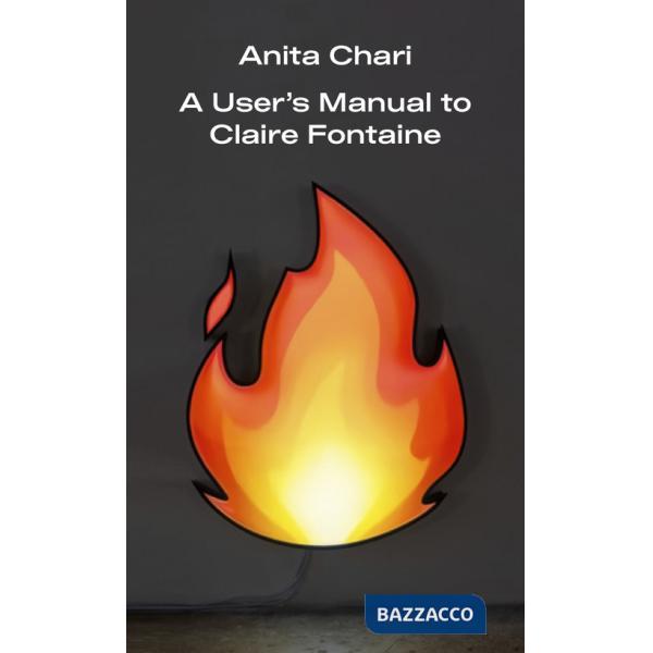 A User's Manual to Claire Fontaine