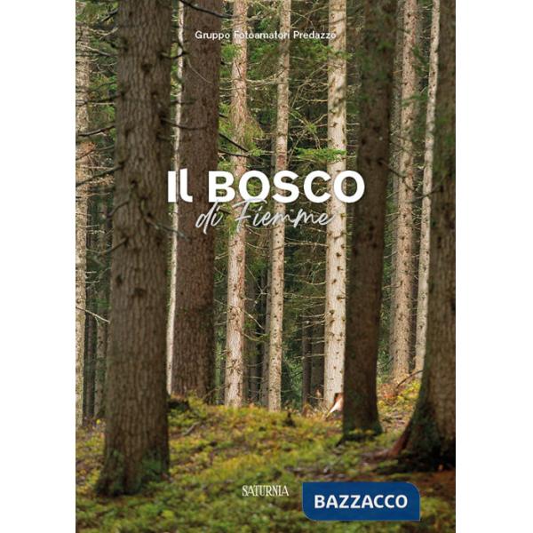 Bosco di Fiemme (Il)