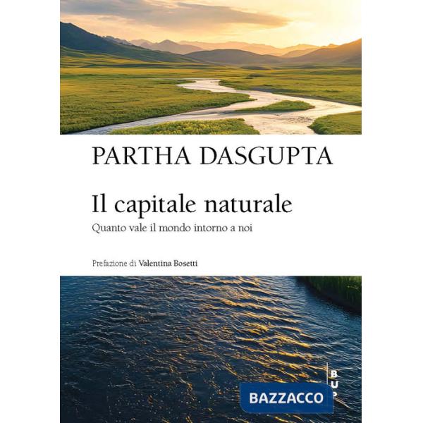 Capitale naturale. Quanto vale il mondo intorno a noi (Il)
