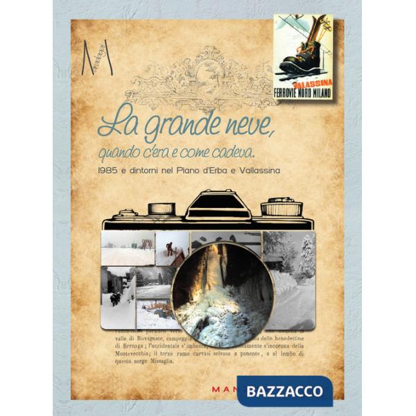Grande neve, quando c'era e come cadeva. 1985 e dintorni nel Piano d'Erba e Vallassina (La)