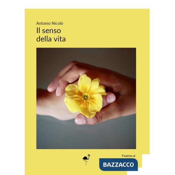 Senso della vita (Il)