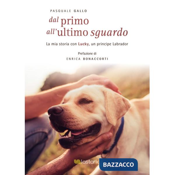 Dal primo all'ultimo sguardo