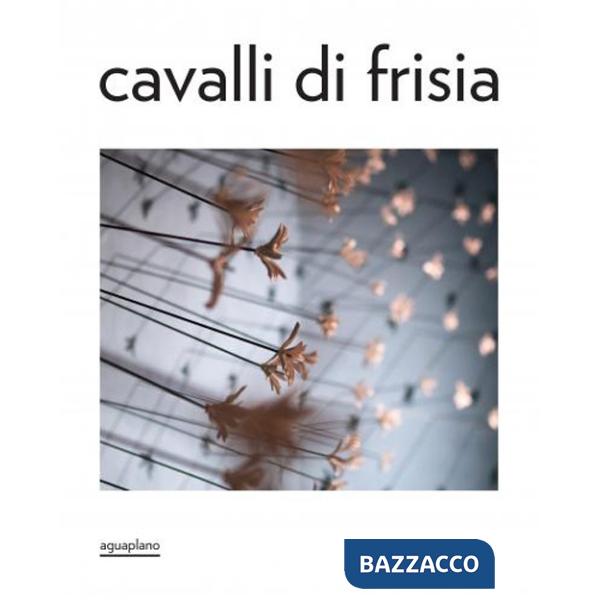 Cavalli di Frisia