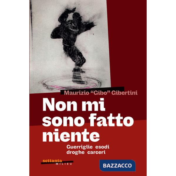 Non mi sono fatto niente