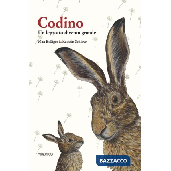 Codino. Un leprotto diventa grande