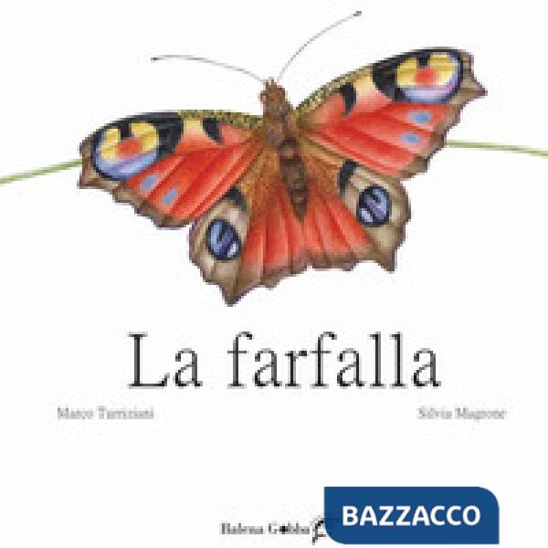 Farfalla. Ediz. illustrata (La)