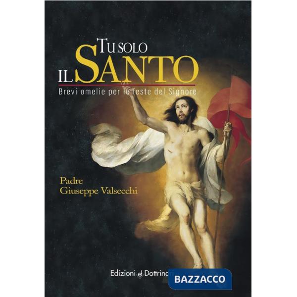 Tu solo il santo. Brevi omelie per le feste del Signore