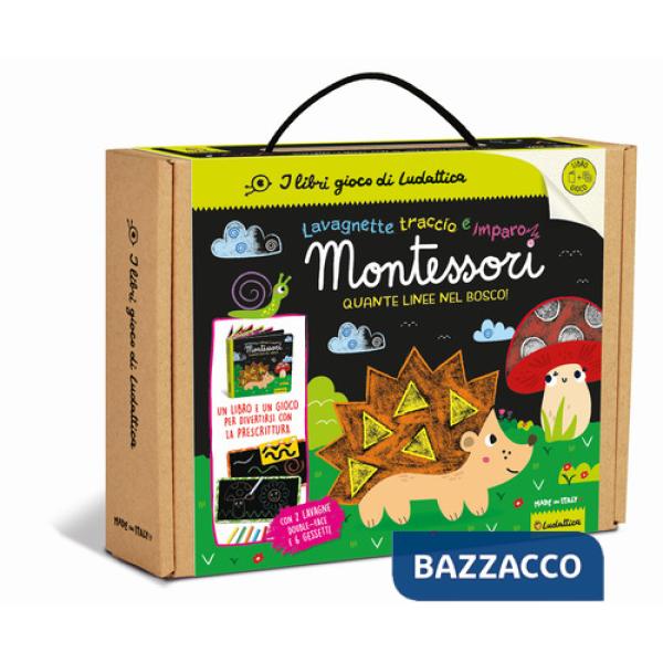 Quante linee nel bosco! Ediz. a colori. Con 2 lavagnette double-face scrivi e cancella. Con 6 gessetti colorati. Con cancellino