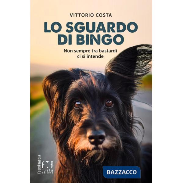 Sguardo di Bingo. Non sempre tra bastardi ci si intende (Lo)
