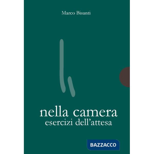 Nella camera. Esercizi dell'attesa