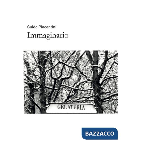 Immaginario. Ediz. illustrata