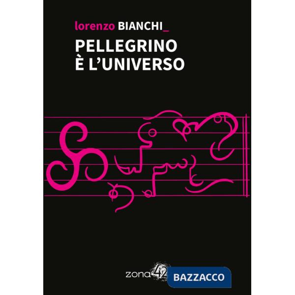 Pellegrino è l'universo