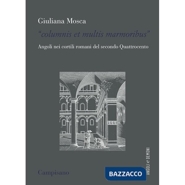 «Columnis et multis marmoribus». Angoli nei cortili romani del secondo Quattrocento