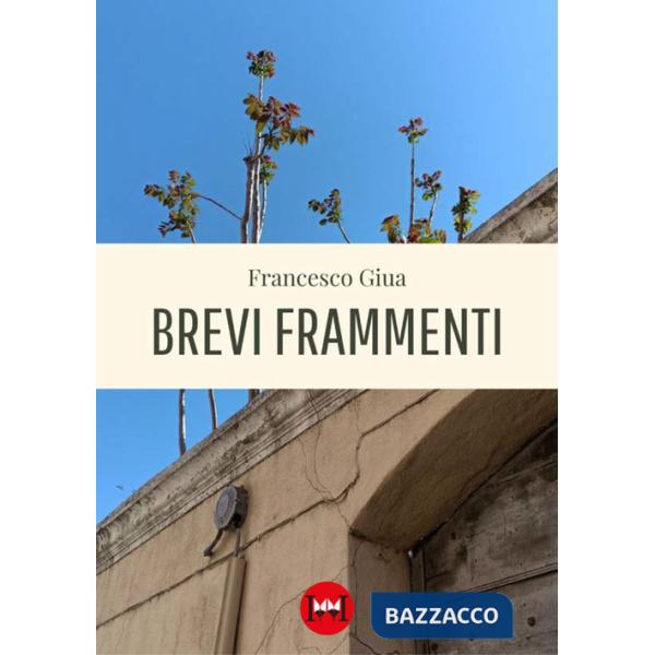 Brevi frammenti