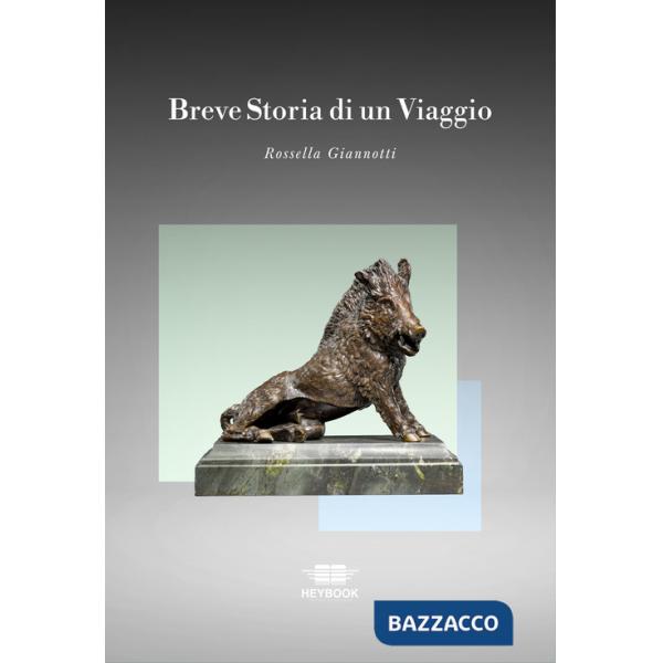 Breve storia di un viaggio