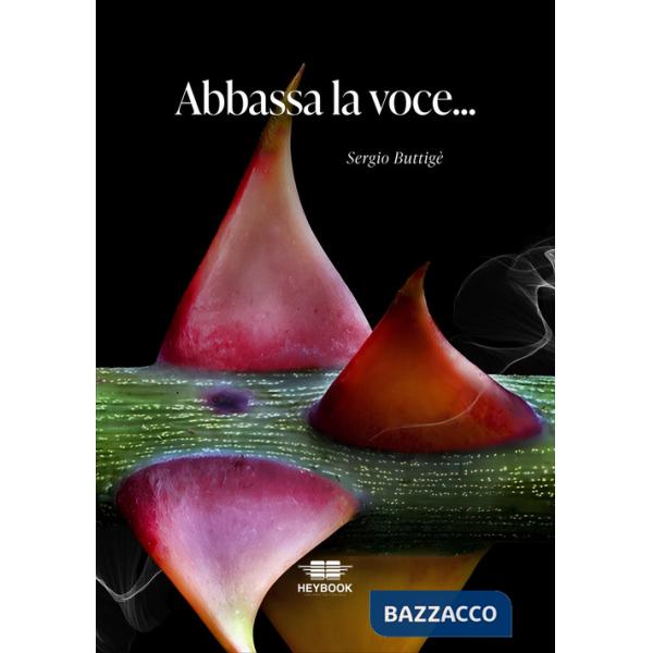 Abbassa la voce