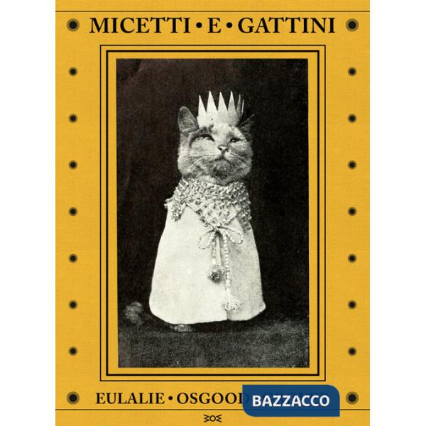 Micetti e gattini. Ediz. illustrata