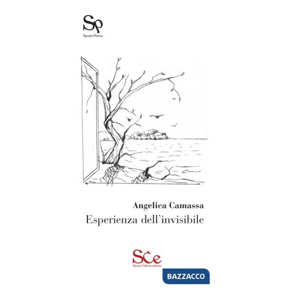 Esperienza dell'invisibile