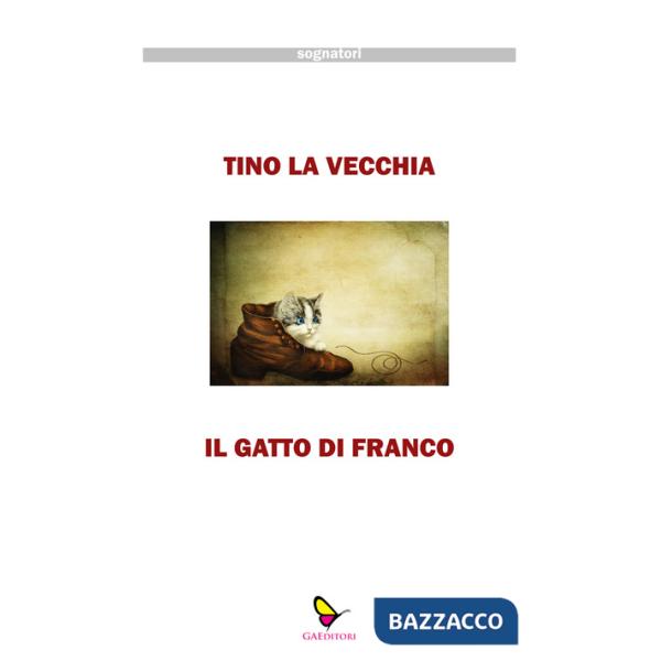 Gatto di Franco (Il)