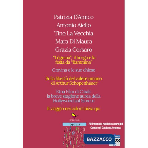 Arte nell'arte. Catania, Gravina e i colori (L')