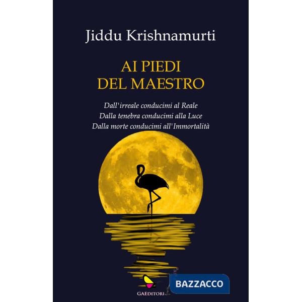 Ai piedi del maestro