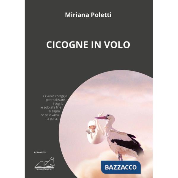 Cicogne in volo