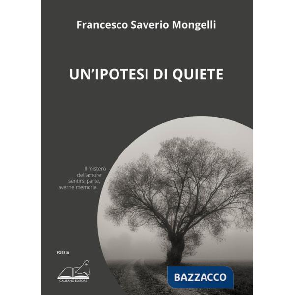 Ipotesi di quiete (Un')