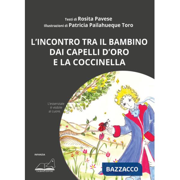 Incontro tra il bambino dai capelli d'oro e la coccinella. L'essenziale è visibile al cuore (L')